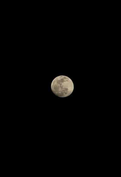 IMG_3908