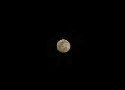 IMG_3938