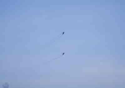 IMG02061