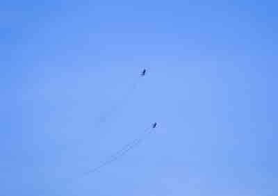 IMG02069