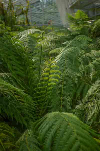 IMG05358