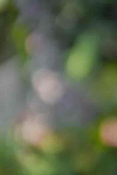 IMG05477