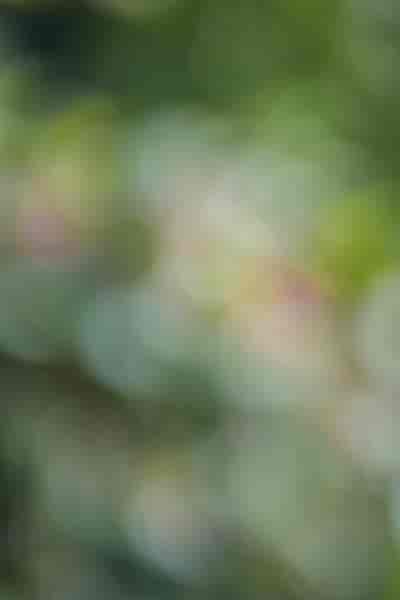 IMG05480