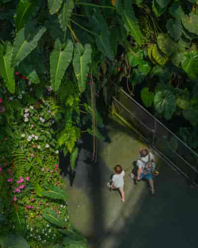 IMG05495