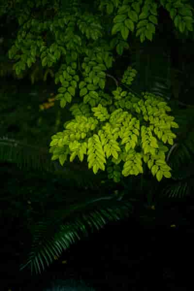 IMG06844