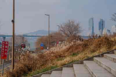 IMG08517