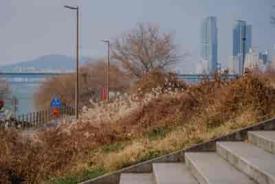 IMG08519