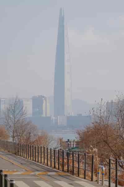IMG08520