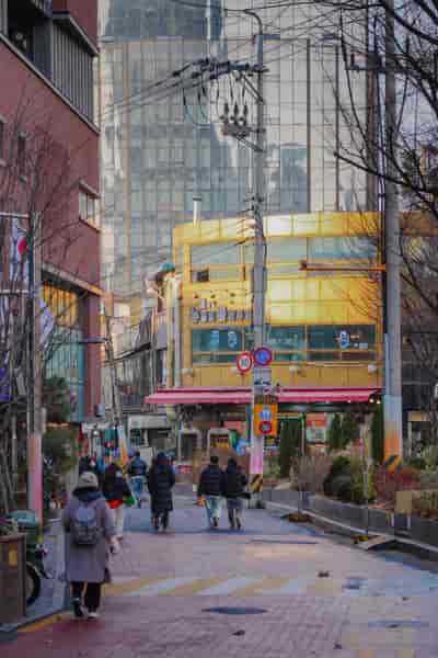 IMG08558