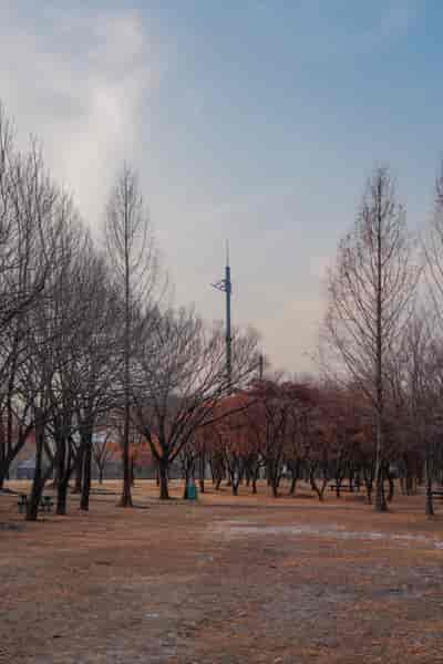 IMG08565