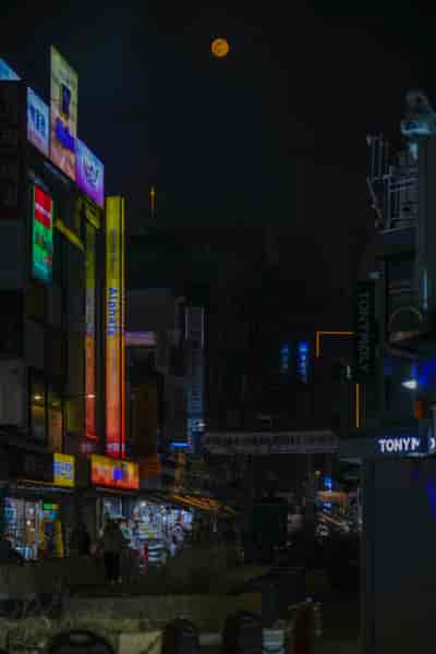 IMG08702
