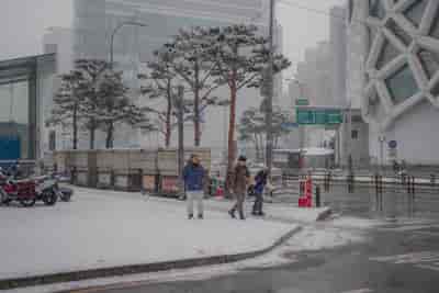 IMG08902