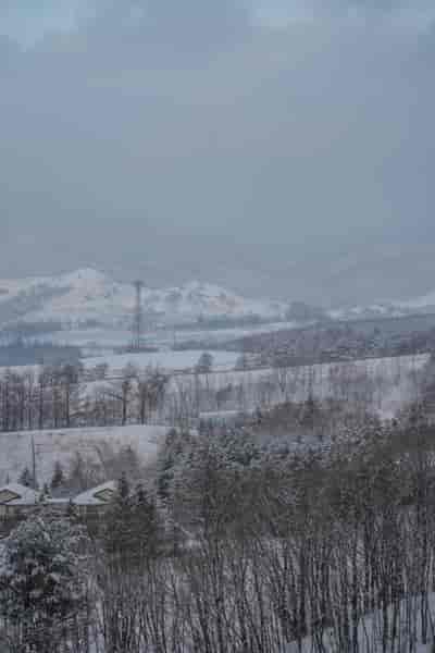 IMG08914
