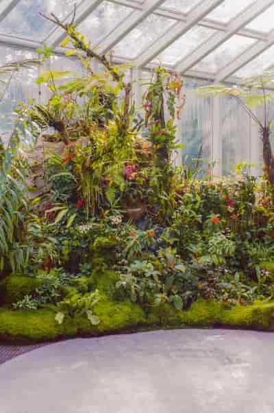 superia (10)