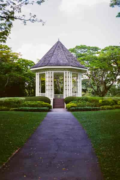 superia (16)