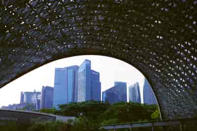 superia (27)