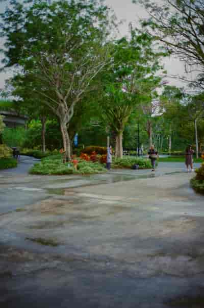 superia (29)