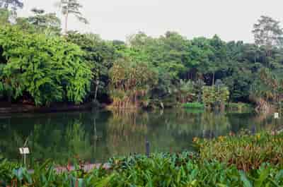 superia (3)