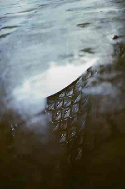 superia (30)