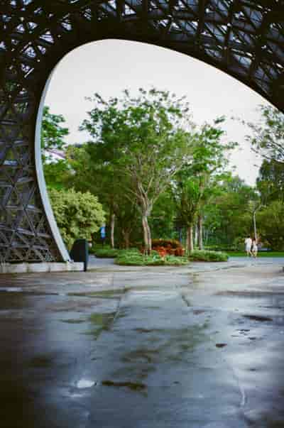 superia (31)