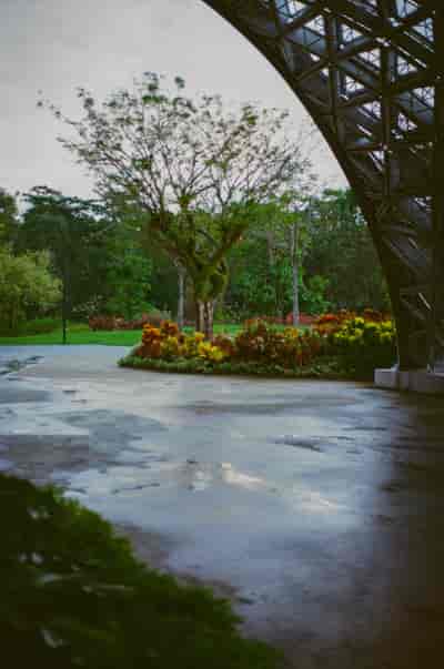superia (32)