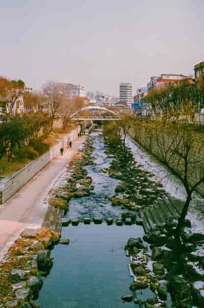 ultramax (15)