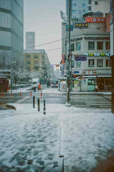 ektar (15)