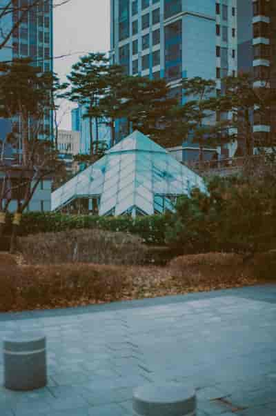 ektar (26)