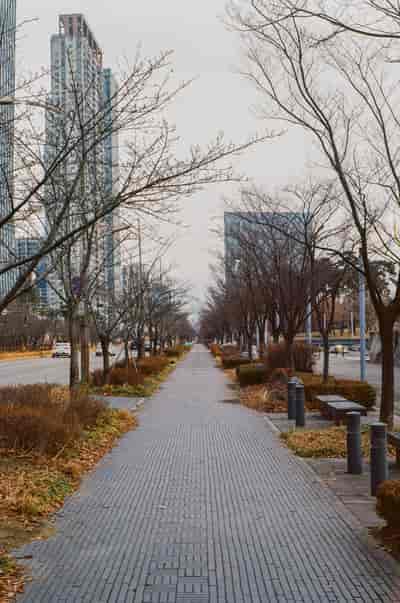 ektar (38)