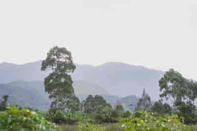 IMG02281