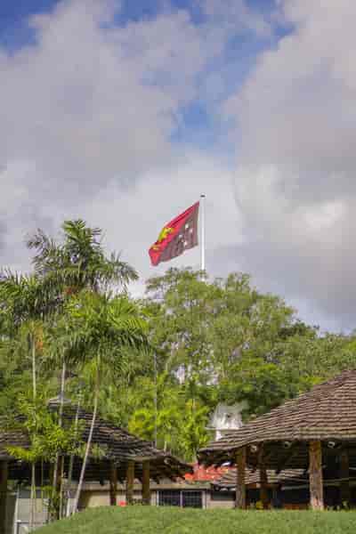 IMG02396