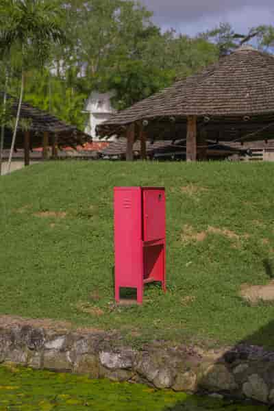 IMG02398