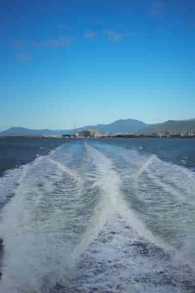IMG02423