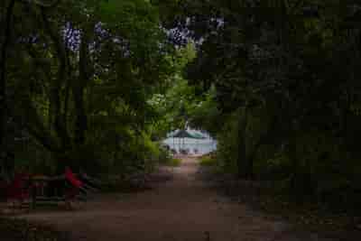 IMG02429