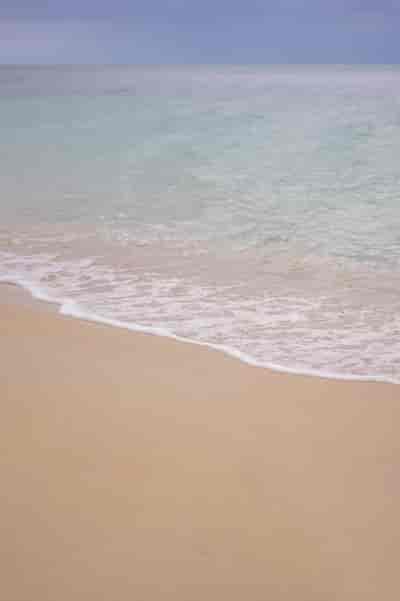 IMG02455 PS