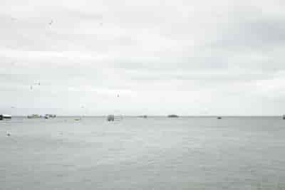 IMG02484