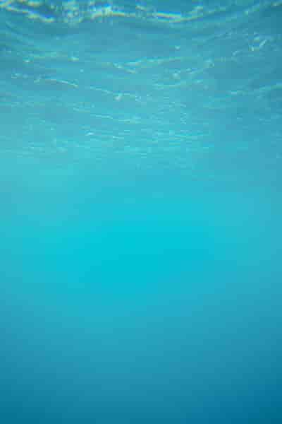 IMG02552