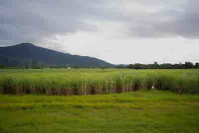 IMG02620