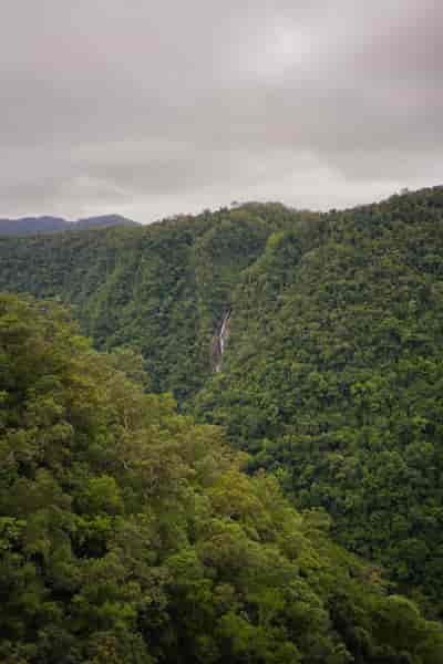 IMG02673