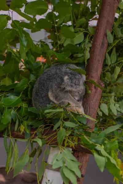 IMG02688