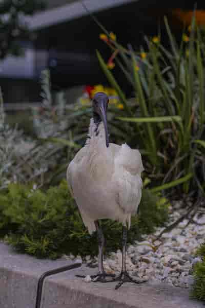 IMG02845