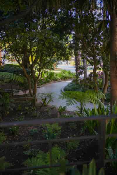 IMG03203