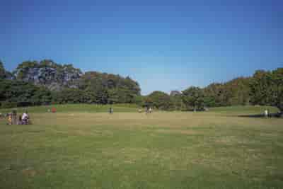 IMG03394