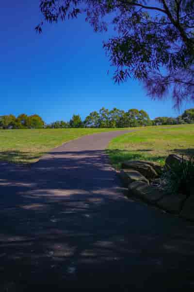 IMG03418