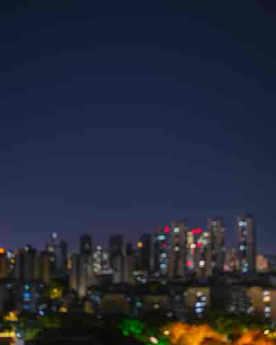 IMG03848