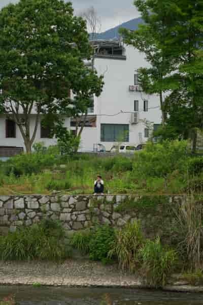 IMG04229