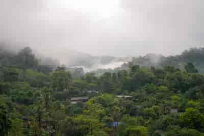 IMG05969