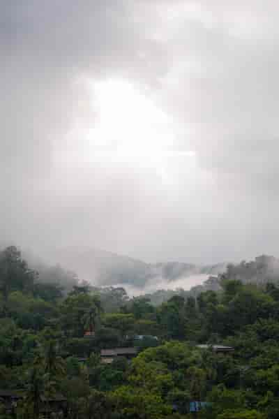 IMG05970