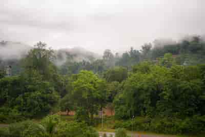 IMG05981