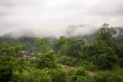 IMG05984